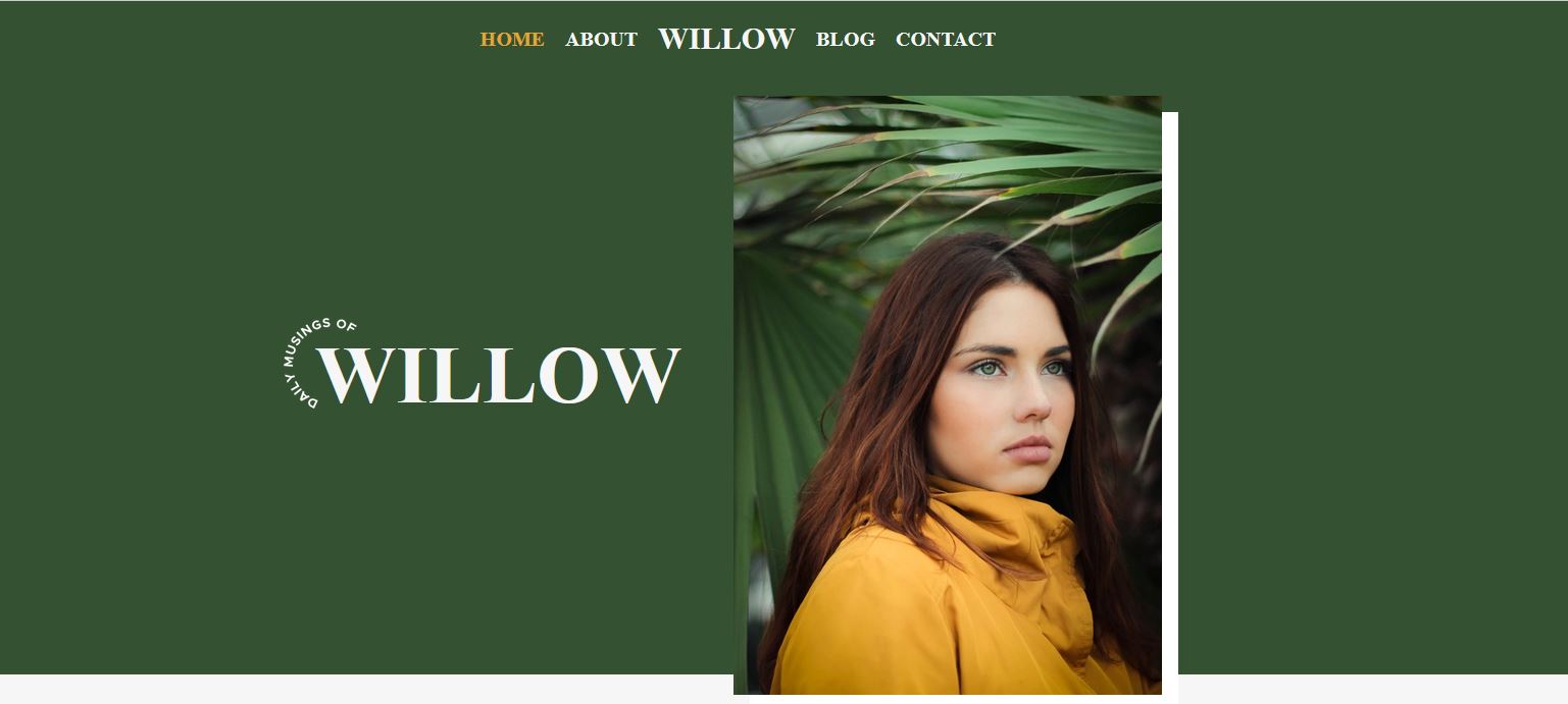 picture of willow website
